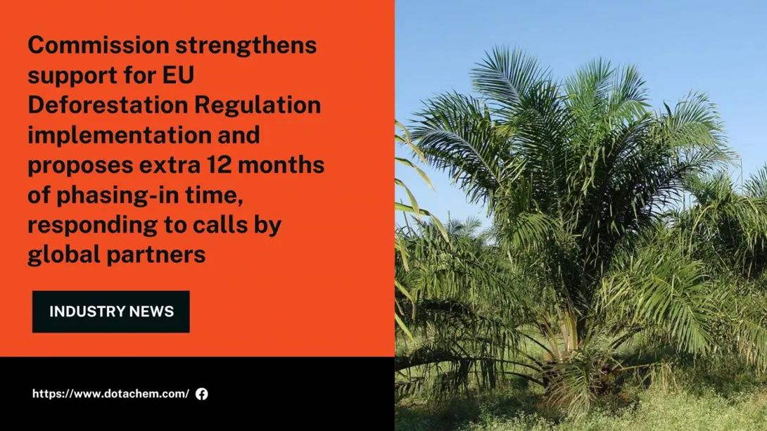 The Impact of EU Deforestation Regulation on Raw Material Prices: Navigating the Rising Costs of Palm Oil for Fatty Alcohol Ethoxylates