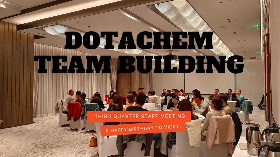 Building Team Spirit and Celebrating Milestones at Dotachem