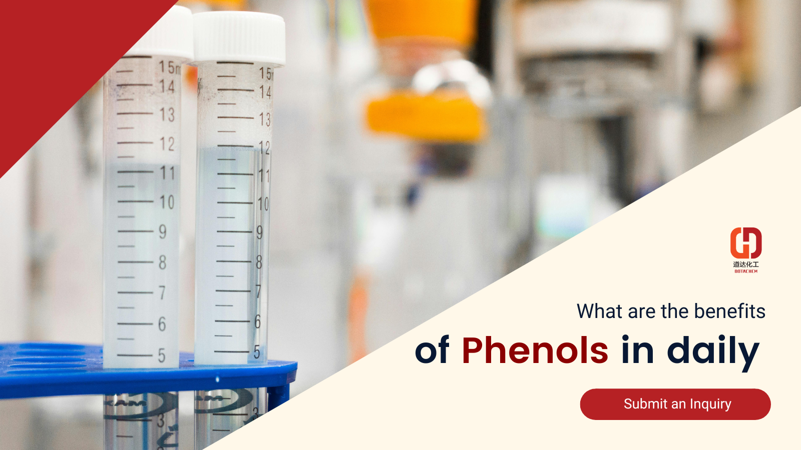 Phenols: The positive driver of industrial production and daily life